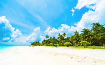 Screen Shot 2024-05-01 at 8.22.23 PM